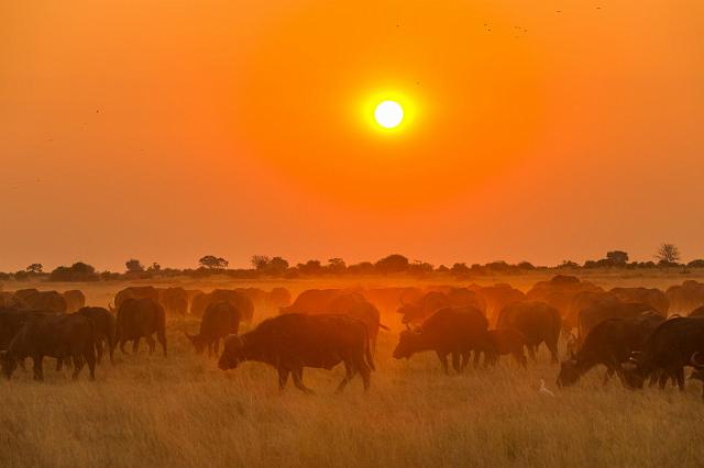 003 Botswana, Okavango Delta.jpg